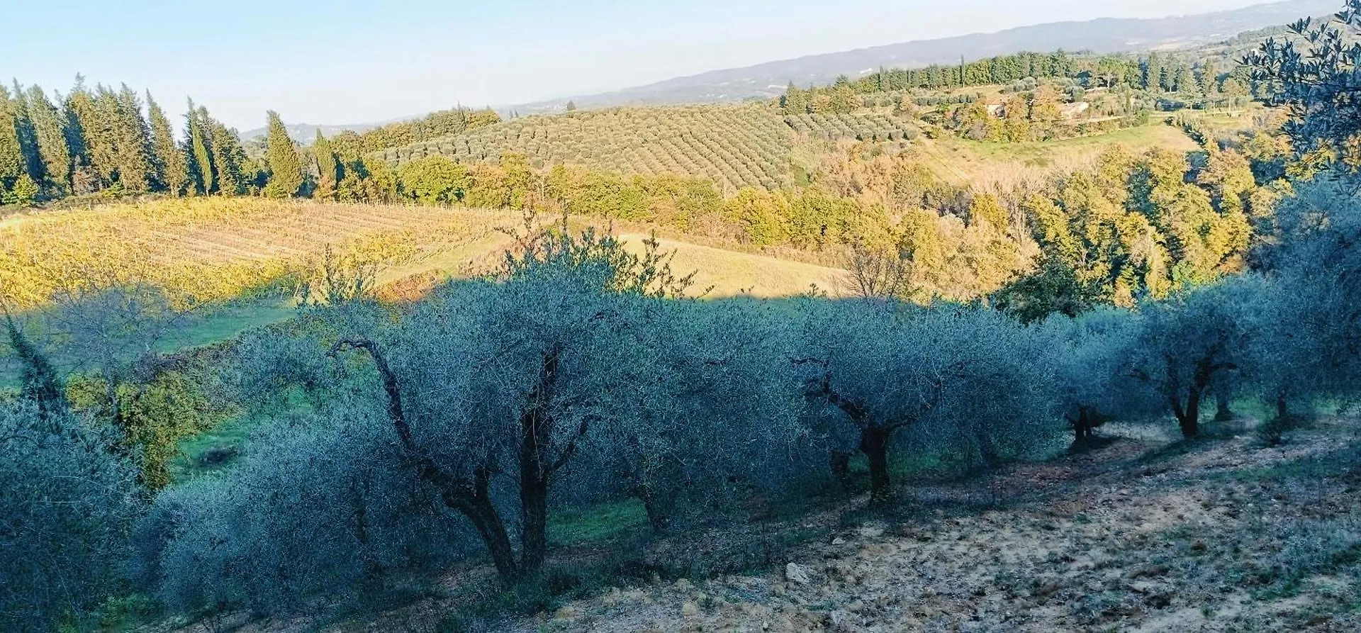 Semesterbostad Casa Orneto Villa Poggibonsi Italien