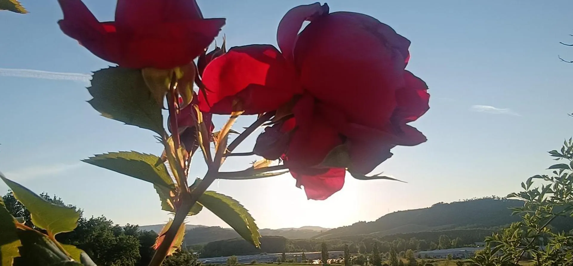 Semesterbostad Casa Orneto Villa Poggibonsi