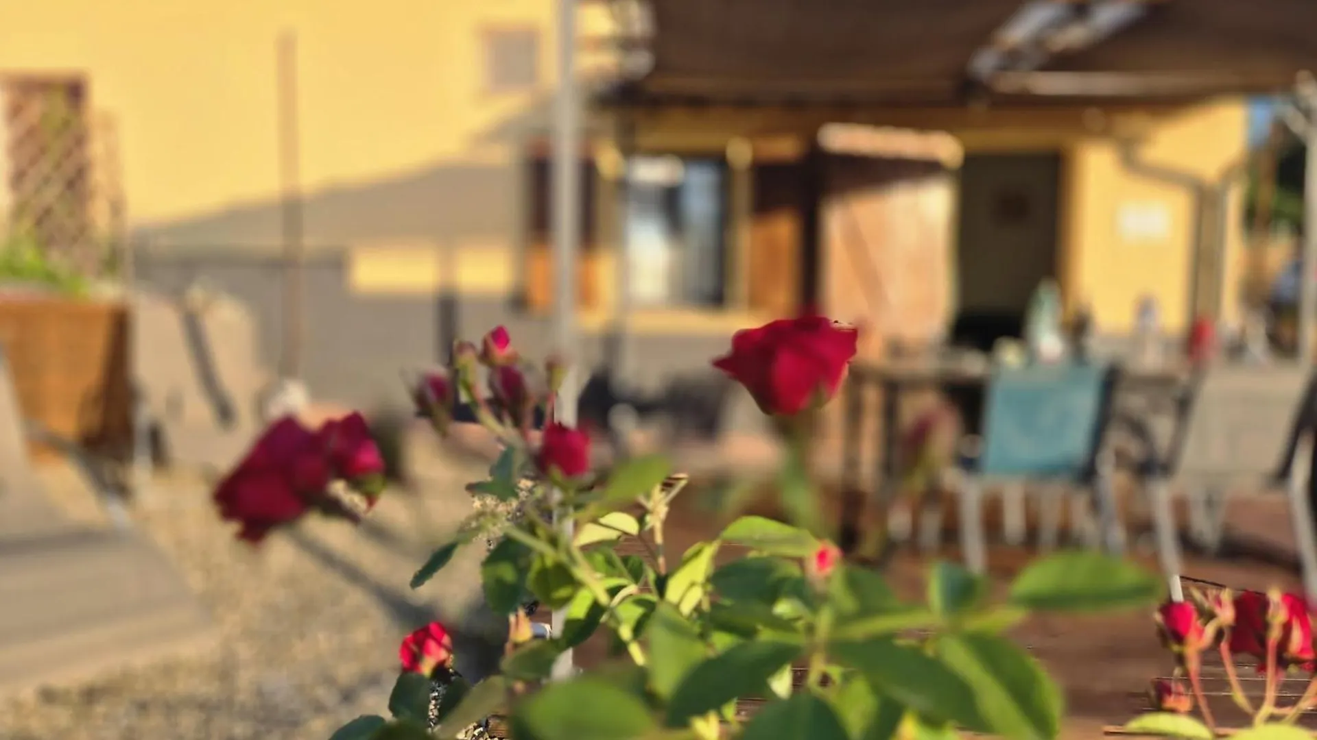Casa Orneto Villa Poggibonsi Semesterbostad